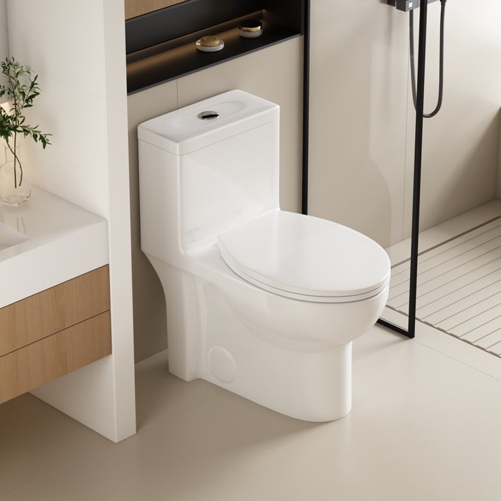 Largrcare Modern One Piece Toilet with Soft Close Seat , Elongated Toilet with Comfort Seat Height, ADA Chair Height 17.32", Dual Flush 1.1/1.6 GPF & MAP 1000g, Standard White Toilet Bowl