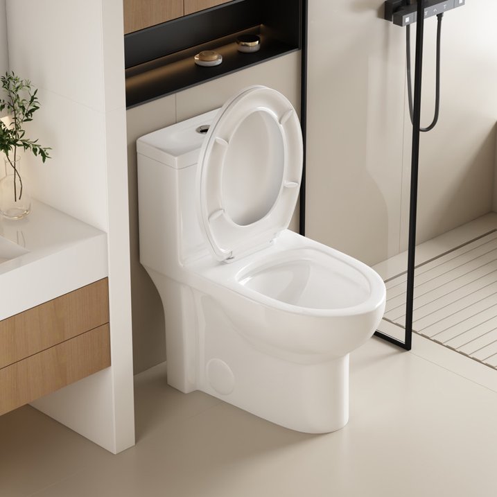 Largrcare Modern One Piece Toilet with Soft Close Seat , Elongated Toilet with Comfort Seat Height, ADA Chair Height 17.32", Dual Flush 1.1/1.6 GPF & MAP 1000g, Standard White Toilet Bowl